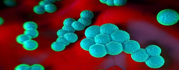 باکتری آسینتوباکتر سبب عفونت در انسان می شود