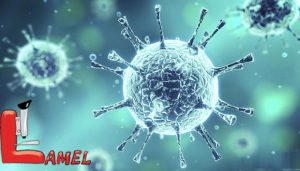 ویروس HPV ؛ ویروسی خطرناک در زنان و مردان/ شیوع اچ‌پی‌وی در ایران