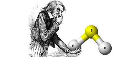 گاز هیدروژن سولفید و سلامت مغز